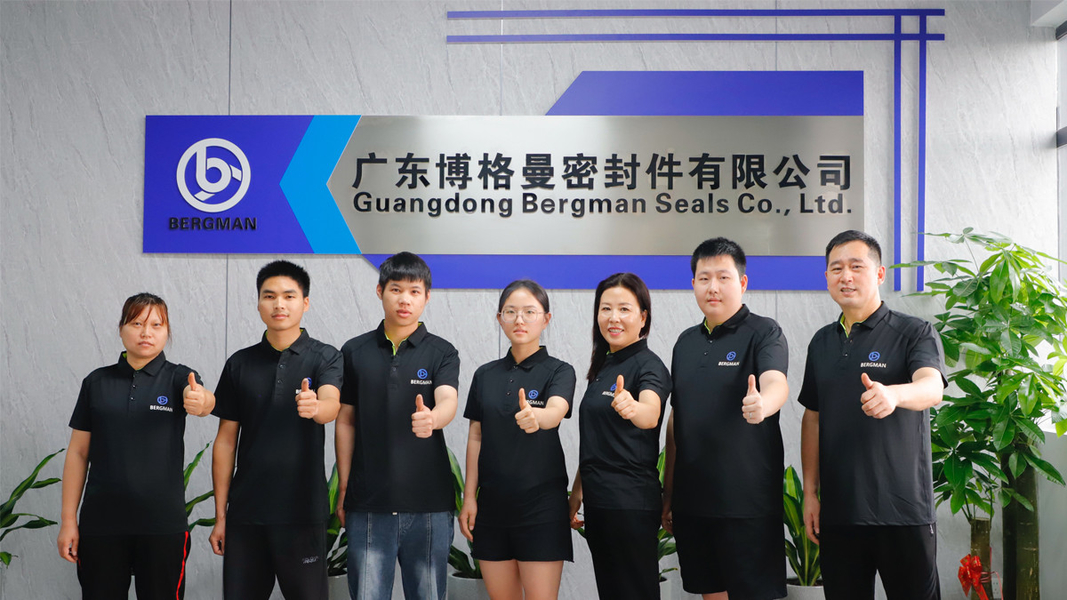 Chine Guangzhou Bogeman Mechanical Seal Co., Ltd. Profil de la société