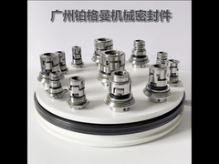 Type Grundfos joint mécanique de pompe verticale à plusieurs étages Glf 32mm CR CRN CRI