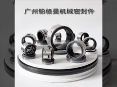 John Crane 502 pompe à eau joint mécanique 100 mm pour pompes industrielles